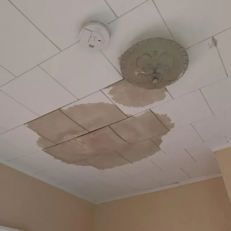 Ceiling Water Damage Repair in Springdale, PA