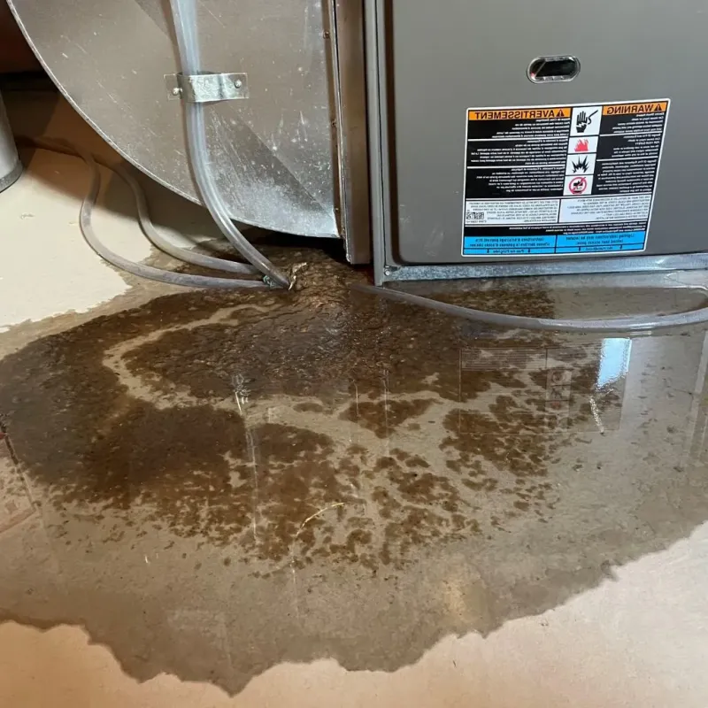 Pipe Burst and Leak Restoration in Springdale, PA
